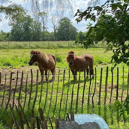 Bed & Breakfast 5 Min From E47 - Dogs Welcome - Cosy Farm Bnb Tureby Eksteriør bilde