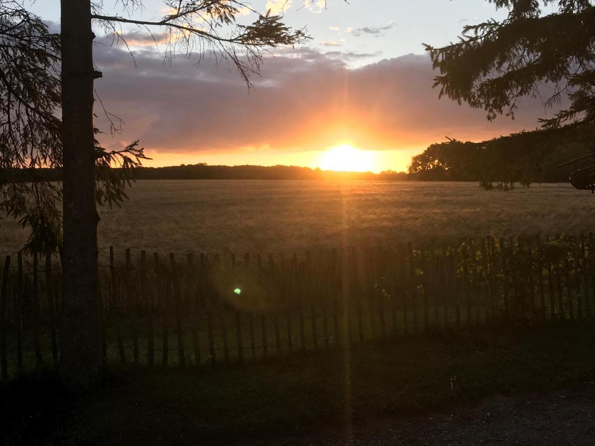 Bed & Breakfast 5 Min From E47 - Dogs Welcome - Cosy Farm Bnb Tureby Eksteriør bilde