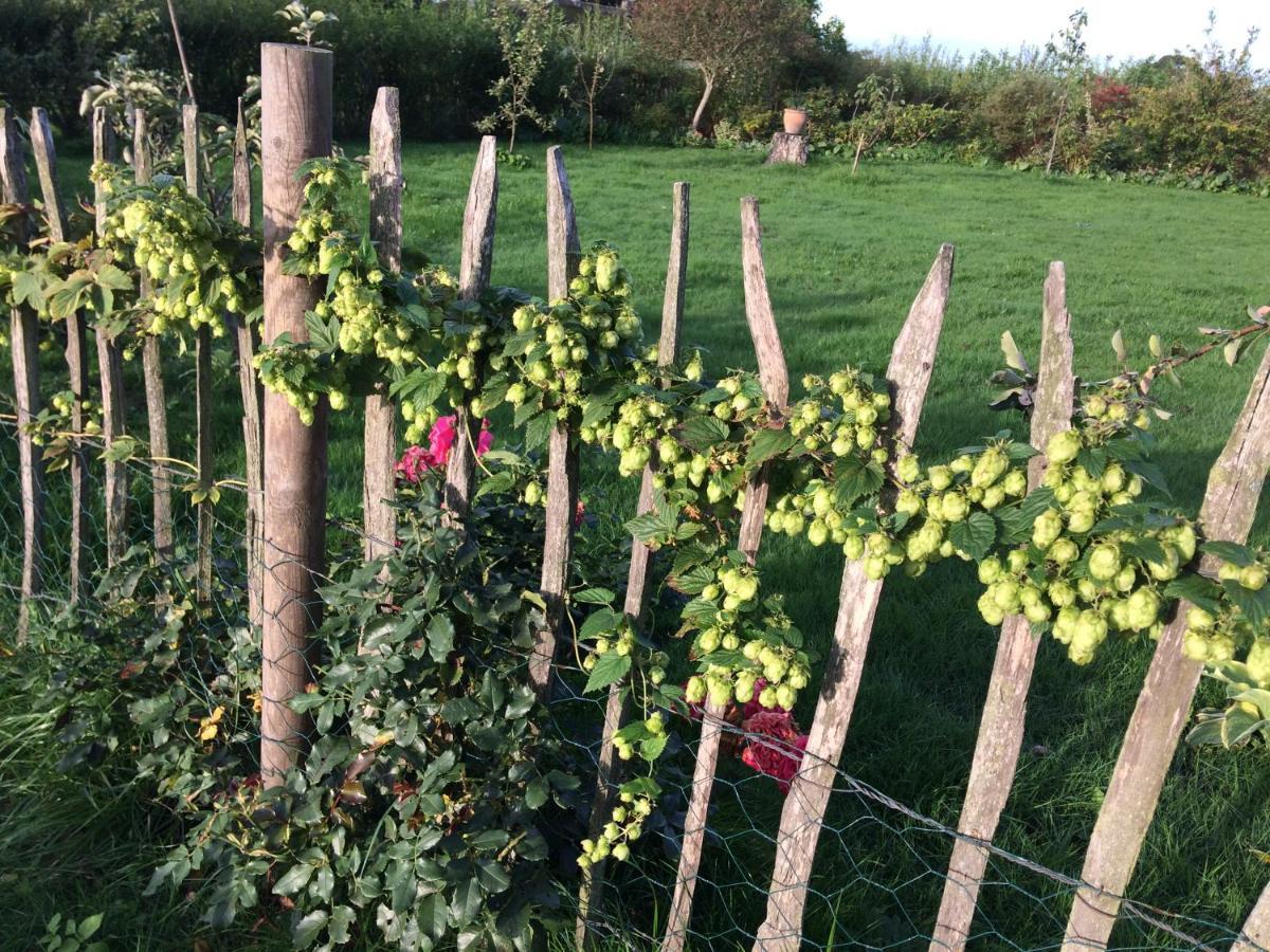 Bed & Breakfast 5 Min From E47 - Dogs Welcome - Cosy Farm Bnb Tureby Eksteriør bilde