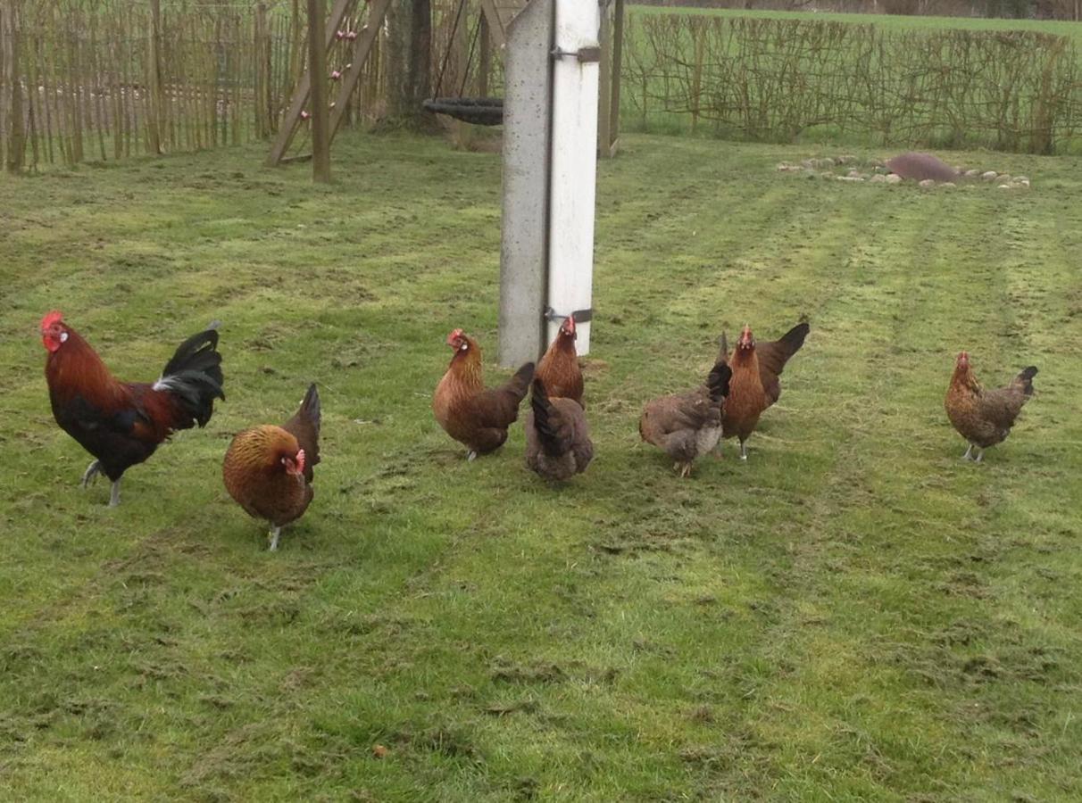 Bed & Breakfast 5 Min From E47 - Dogs Welcome - Cosy Farm Bnb Tureby Eksteriør bilde