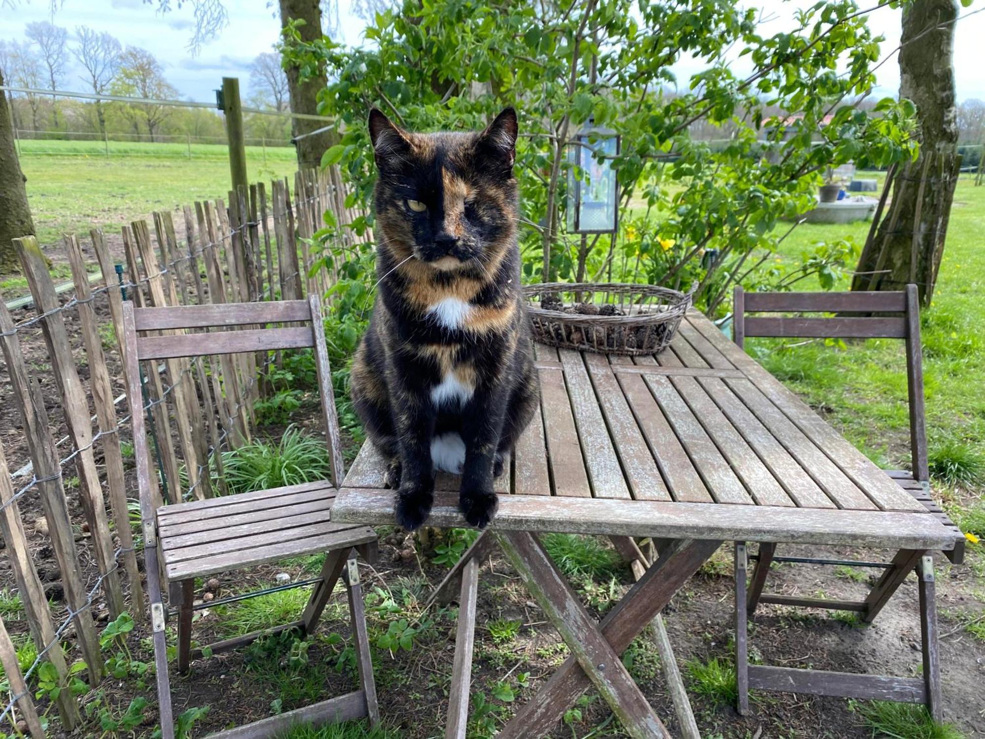 Bed & Breakfast 5 Min From E47 - Dogs Welcome - Cosy Farm Bnb Tureby Eksteriør bilde
